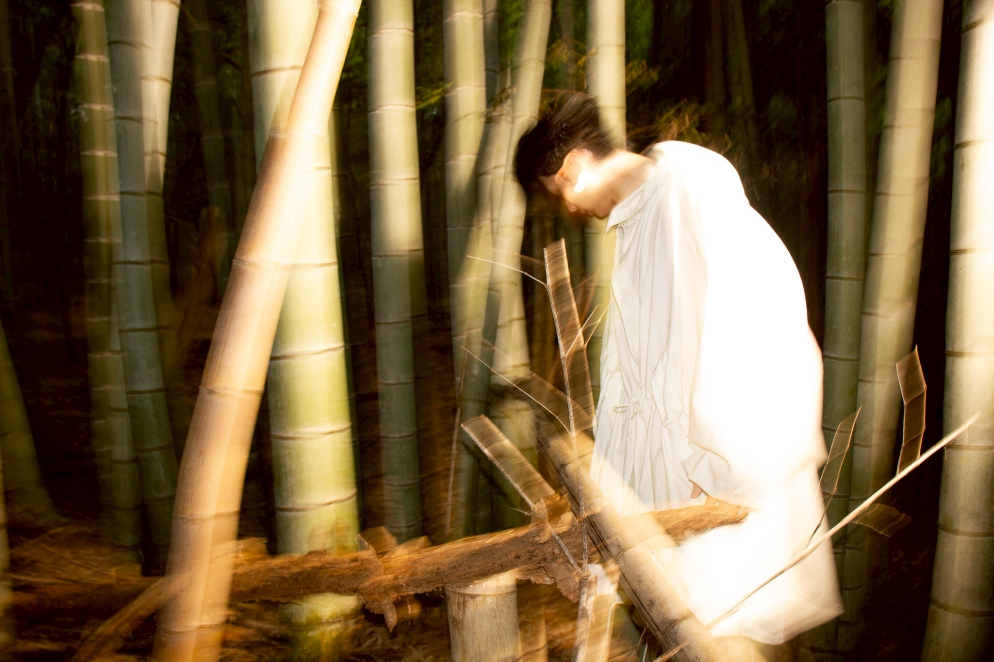 Nomulima artist photo in bamboo forest